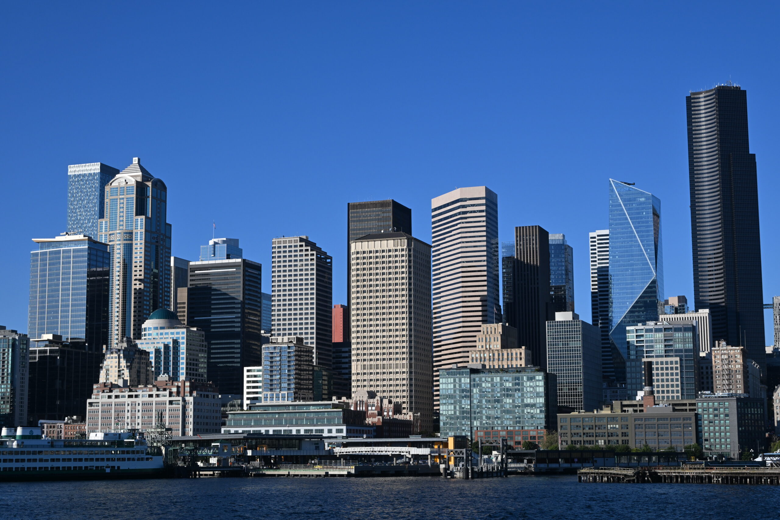 dsc 1261